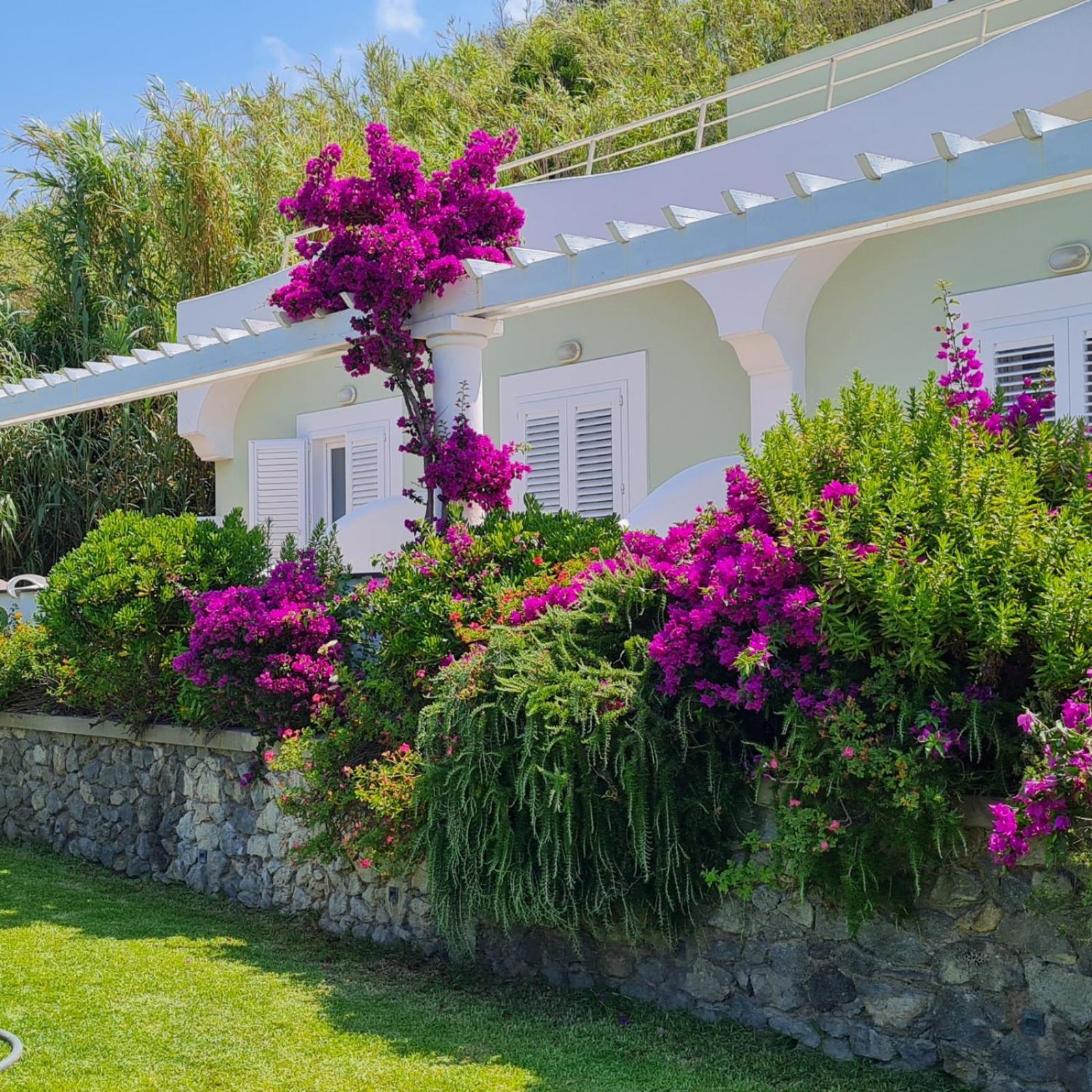 Albatros Hotel Forio di Ischia
